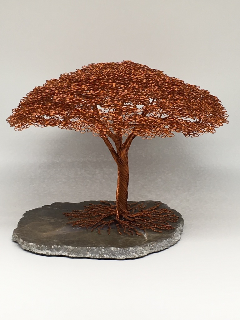 T-94 - African Acacia Tree