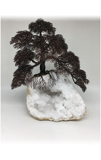 art-weeast-portfolio-bonsai
