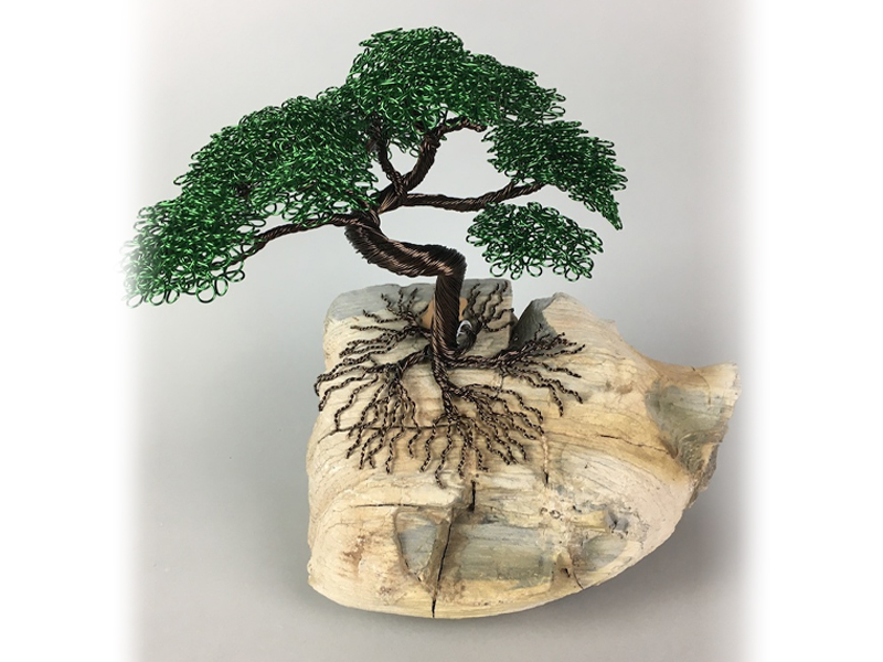 art-weeast-trees-bonsai